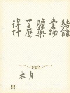 得了胆囊结石有什么药物能排石吗