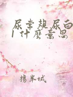 尿常规尿白细胞1 什么意思