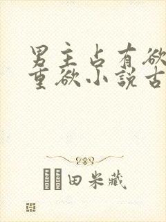 男主占有欲强且重欲小说古言