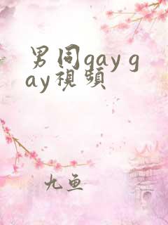 男同gay gay视频
