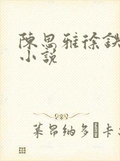 陈思雅徐铁军的小说