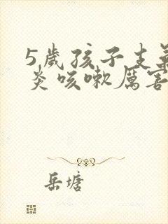 5岁孩子支气管炎咳嗽厉害怎么办