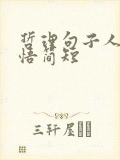 哲理句子人生感悟简短