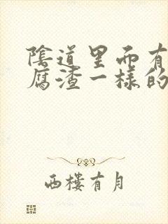 阴道里面有跟豆腐渣一样的东西是怎么回事