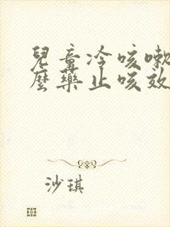 儿童冷咳嗽吃什么药止咳效果好