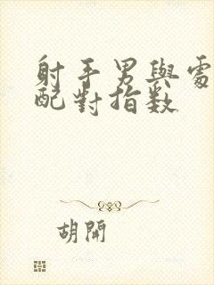 射手男与处女女配对指数