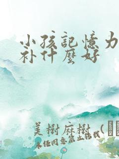 小孩记忆力不好补什么好