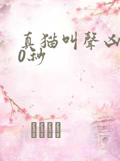 真猫叫声凶猛60秒