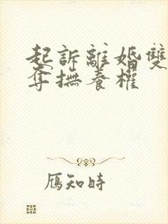 起诉离婚双方争夺抚养权