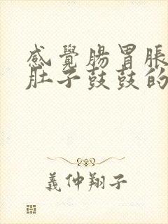 感觉肠胃胀气 肚子鼓鼓的