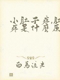 小肚子疼,肛门疼是什么原因引起的