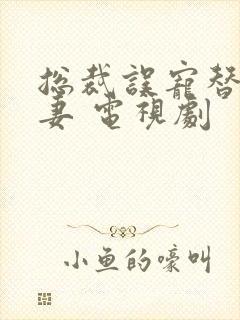 总裁误宠替身甜妻 电视剧