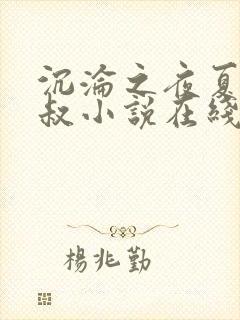 沉沦之夜夏婉陈叔小说在线阅读免费全文