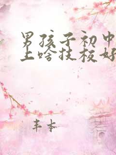 男孩子初中毕业上啥技校好