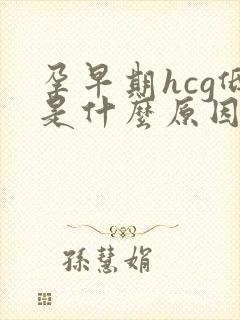 孕早期hcg低是什么原因