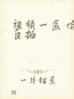 视频一区 偷拍自拍