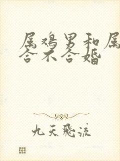 属鸡男和属虎女合不合婚