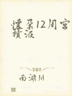 怀孕12周宫腔积液