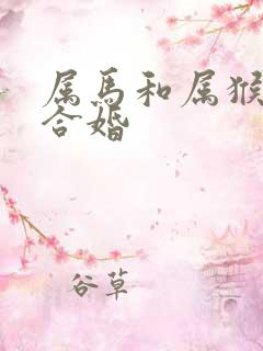 属马和属猴合不合婚