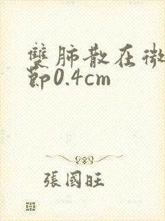 双肺散在微小结节0.4cm