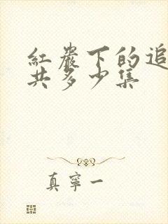 红岩下的追捕一共多少集