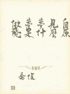 做梦梦见自己会飞是什么原因