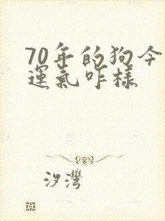 70年的狗今年运气咋样