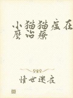 小猫猫瘟在家怎么治疗