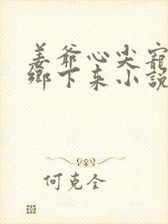 姜爷心尖宠她从乡下来小说免费讲述