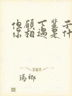 但愿下辈子别和你相遇是什么歌