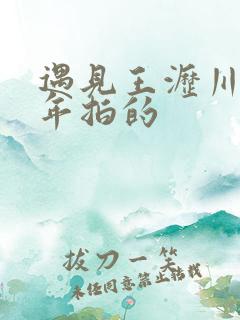 遇见王沥川是哪年拍的