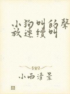 小狗叫的声音播放连续叫