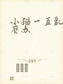 小猫一直乱尿怎么办