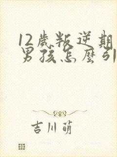 12岁叛逆期的男孩怎么引导