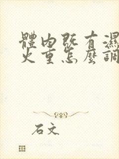 体内既有湿气又火重怎么调