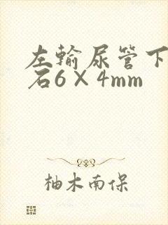 左输尿管下段结石6×4mm