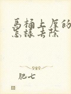 马桶上厚的尿垢怎样去除