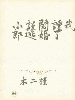 小说阅读我的新郎逃婚了