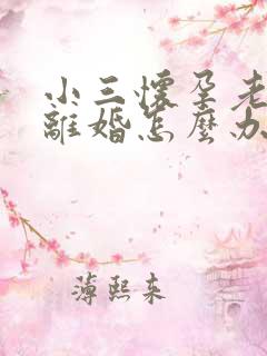 小三怀孕老公要离婚怎么办