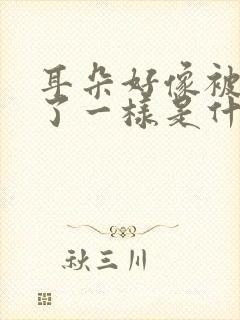 耳朵好像被堵塞了一样是什么原因