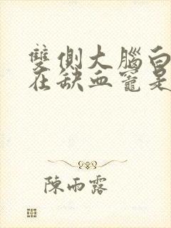 双侧大脑白质散在缺血灶是什么意思