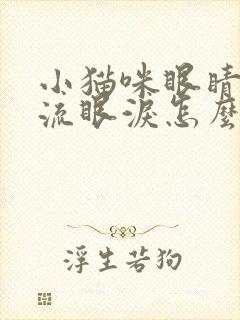 小猫咪眼睛一直流眼泪怎么回事