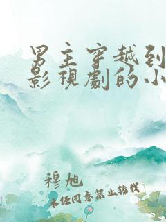 男主穿越到各种影视剧的小说