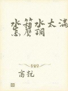 水箱水太满漏水怎么调