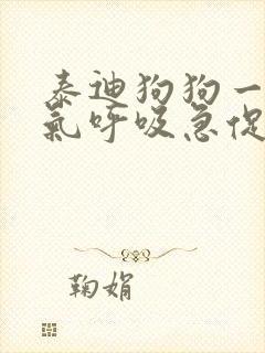 泰迪狗狗一直喘气呼吸急促