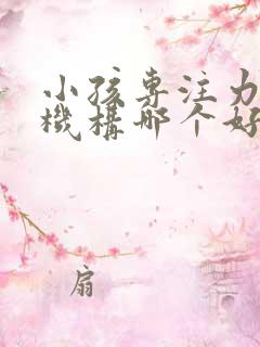 小孩专注力培训机构哪个好