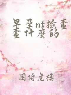 早孕nt检查是查什么的