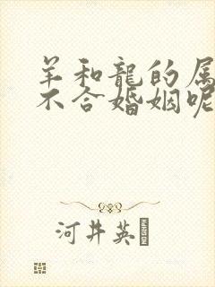 羊和龙的属相合不合婚姻呢