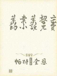 叶棠叶黎宋承舟的小说免费阅读