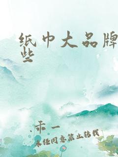 纸巾大品牌有哪些